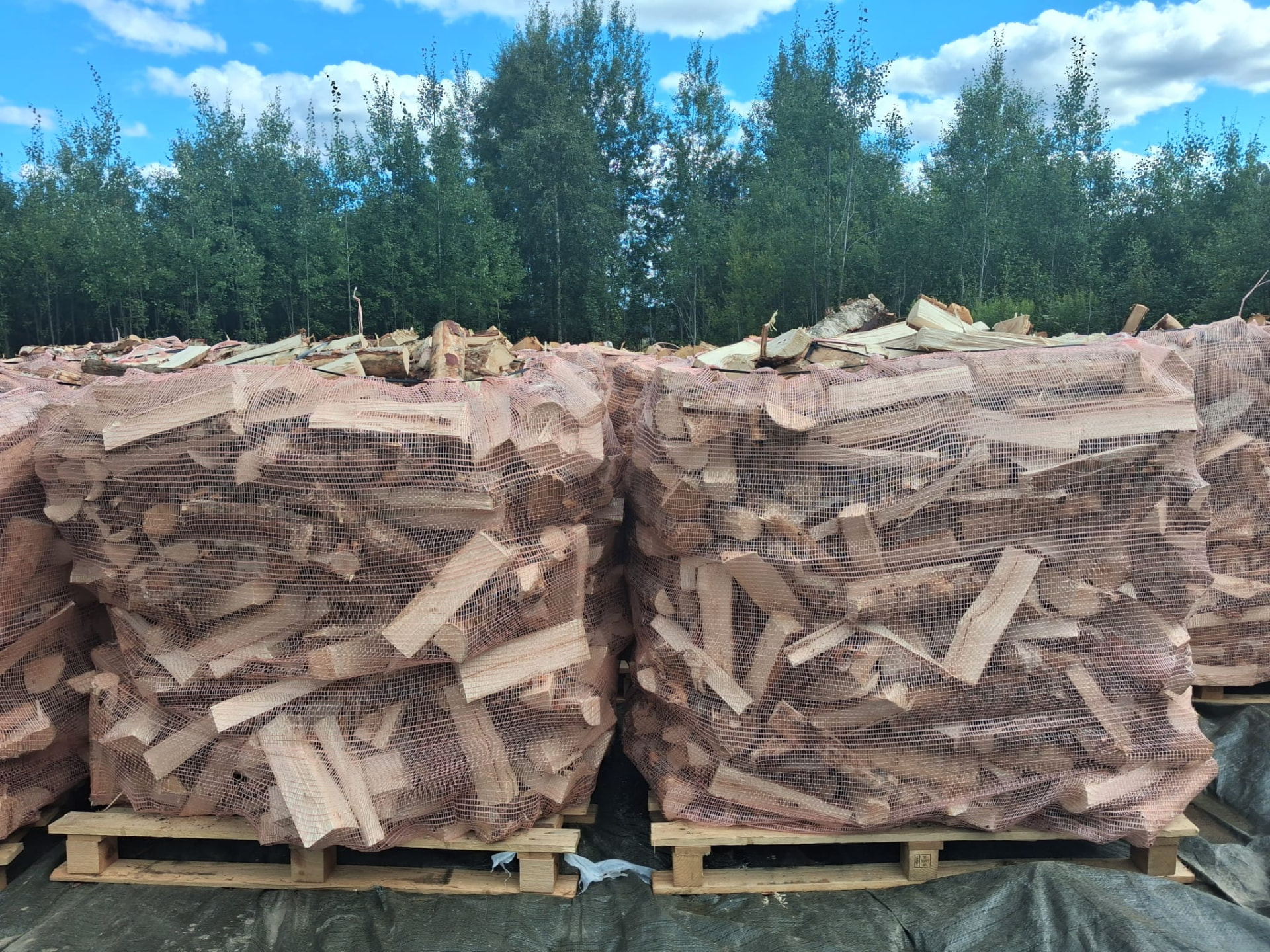 Säckar med björkved på pall under blå himmel